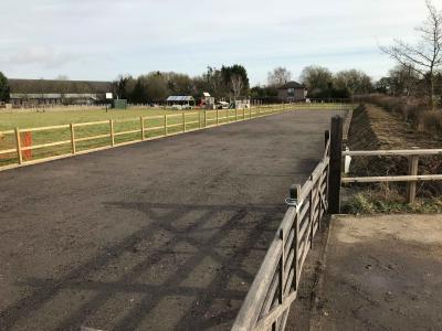IMG 0953 r